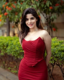 Noida escort